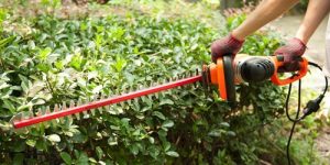 Best Corded Hedge Trimmers in 2023 Reviews