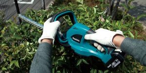 Best Cordless Hedge Trimmers in 2022 Reviews